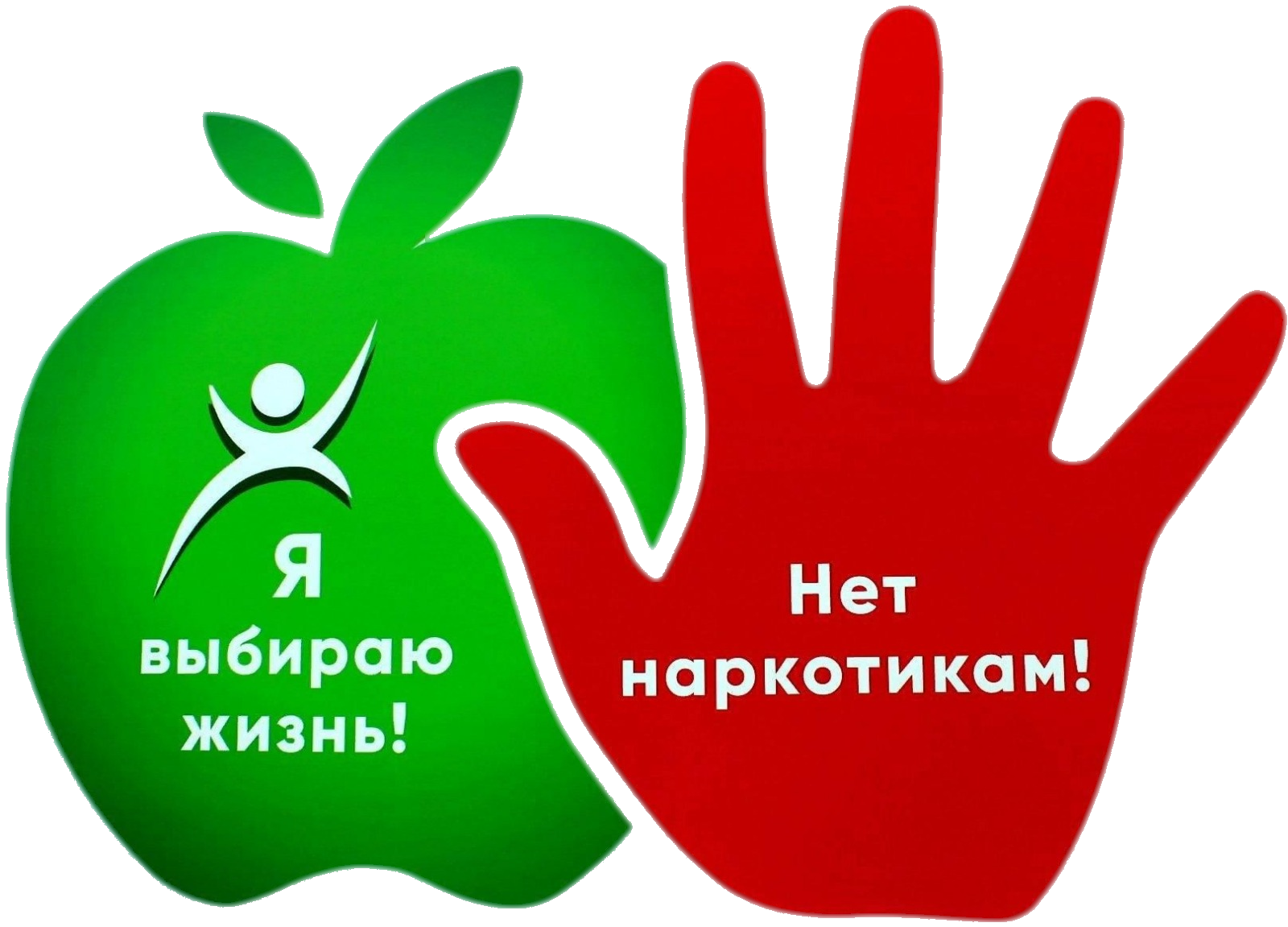 Антинаркотическая борьба в Ингушетии: здоровье молодежи – наше общее дело.